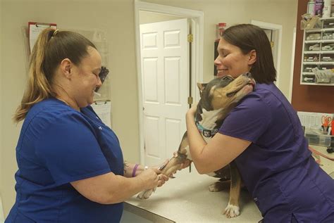 trenton animal hospital|hillcrest animal hospital trenton.